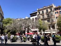 Plaza de Cort, Palma