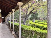 Jardin Rei Juan Carles, Valldemossa