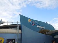 256 Palma Aquarium