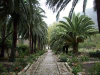 Arabische Gärten - „Jardines de Alfabia“