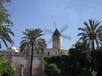 typische Mühlen von Palma
