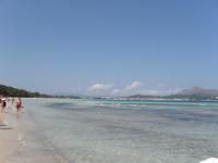 Strand von Alcúdia