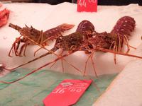 Hummer in der Markthalle von Palma