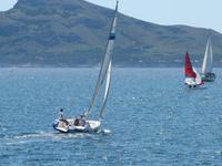 Segler in der Bucht von Porto Pollenca