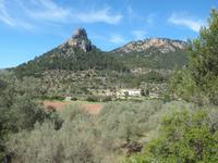 auf der Fahrt mit dem Roten Blitz