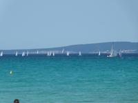 Segelparade in der Bucht Playa de Palma