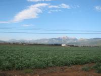 Fahrt nach Formentor