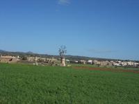 Mallorcas bekannte Mühlen