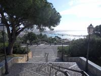 Blick auf den Hafen von Palma