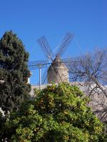 Windmühlen und Orangenduft