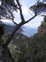 Die Südwestküste Mallorcas