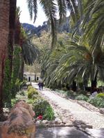 In den Gärten von Alfabia