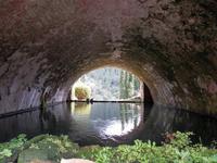 In den Gärten von Alfabia