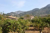 In Soller