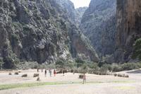 Schlucht von Sa Calobra