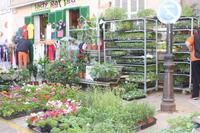 Wochenmarkt in Sineu