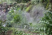 Garten von La Granja