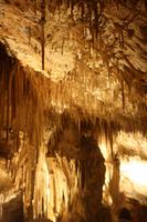 In der Drachenhöhle