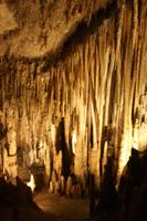 In der Drachenhöhle