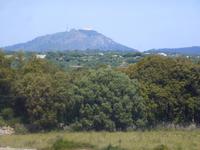Blick zum Monte Toro