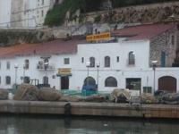 Gin Destillerie Mahon