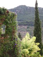 Im Kräutergarten des Klosters
