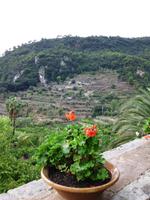 Im Kräutergarten des Klosters