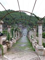 In den Gärten von Alfabia