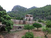 In den Gärten von Alfabia