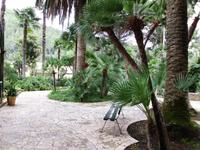 In den Gärten von Alfabia