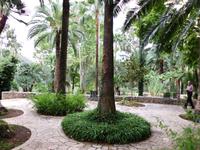 In den Gärten von Alfabia