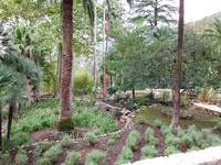 In den Gärten von Alfabia