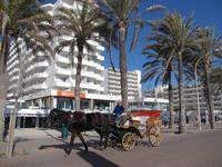 Hotel Grand Fiesta - El Arenal