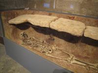 Stadtrundgang Palma - Schloss Bellver