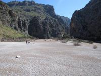 Inselrundfahrt Mallorca