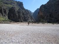 Inselrundfahrt Mallorca