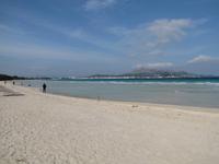 Strand von Alcudia