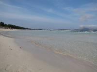 Strand von Alcudia