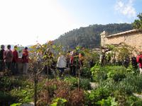 Besichtigung Kartäuserkloster im Tramuntana Gebirge