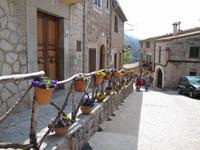 Besichtigung Kartäuserkloster im Tramuntana Gebirge