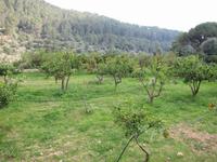 arabischen Gärten von Alfabia