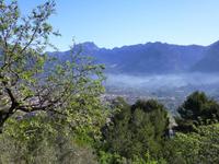 Blick auf Soller