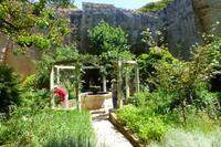 031-Botanischer Garten im Steinbruch Lithica