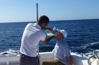 059-Bootsfahrt - Pomade