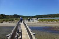 114-Naturparkt S´Albufera es Grau