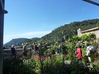 Im Garten des Karthäuserkloster