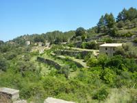 Terrassenanlage in Banyalbufar