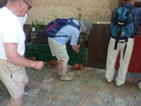 Weinprobe in La Granja 