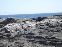 Cap Favaritx - Schieferkarbongestein