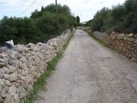 auf den Weg zur Platja de Binigaus